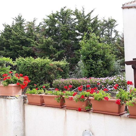 Villino Messina Lägenhet San Vito Lo Capo Exteriör bild