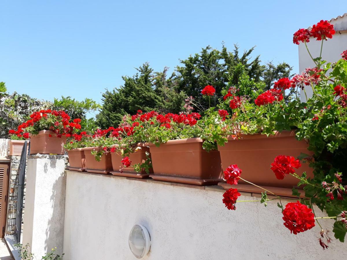 Villino Messina Lägenhet San Vito Lo Capo Exteriör bild