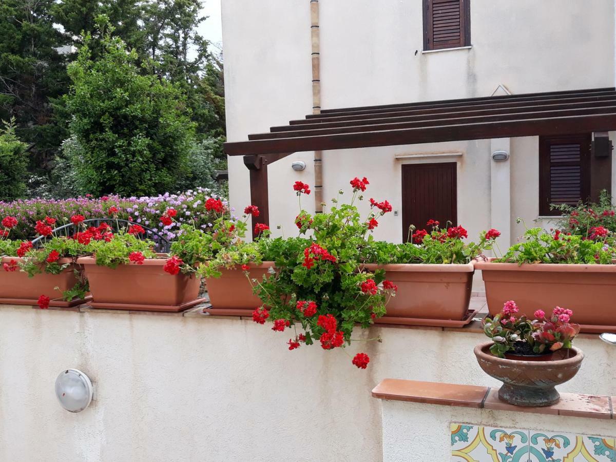 Villino Messina Lägenhet San Vito Lo Capo Exteriör bild