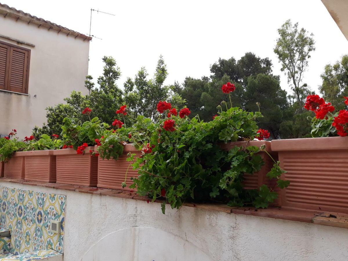 Villino Messina Lägenhet San Vito Lo Capo Exteriör bild